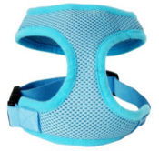 Blue Hourglass Harness