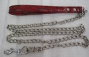 Chain leash(matched harness available)